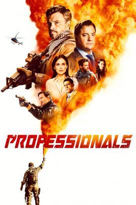 The Professionals - Staffel 1