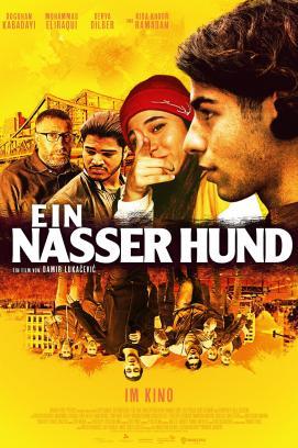 Ein nasser Hund