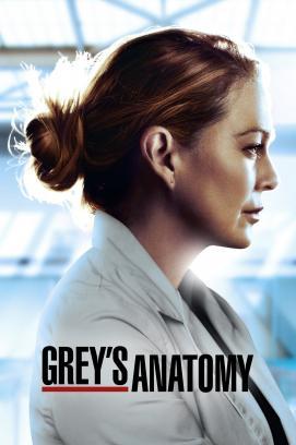 Grey's Anatomy - Staffel 16