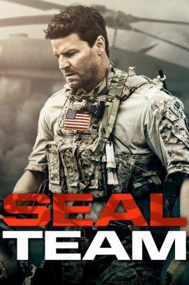 SEAL Team - Staffel 4